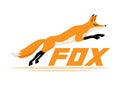 Animal fox running. Royalty Free Stock Photo